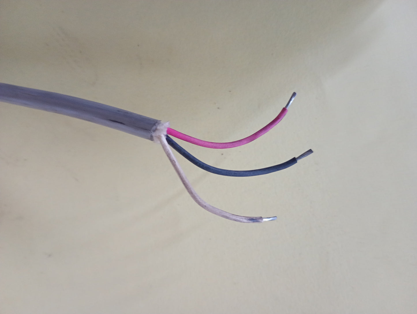 伊東電機 PMZ-4-194-V2　パワーモーラ　4本