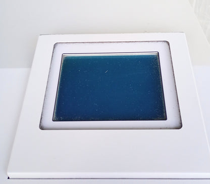 リコー ProF2110Y 連続紙レーザープリンター ricoh1-prof2110y-1001